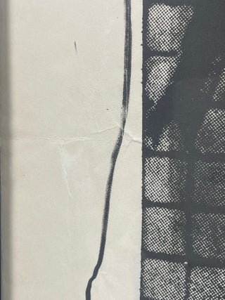 Robert Brauschengerg. Photolithograph, Jewish Museum. Framed