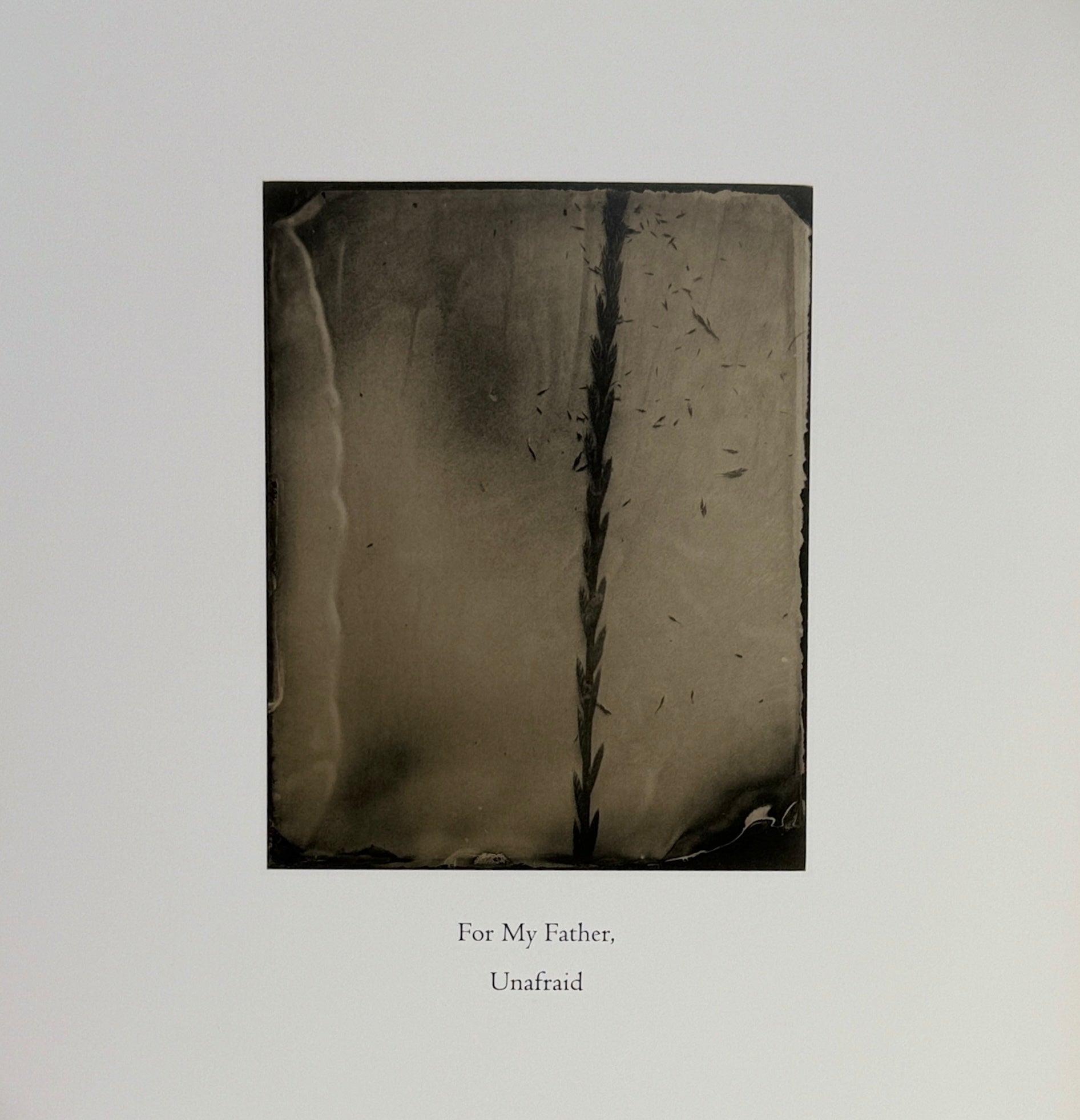 Sally Mann: What Remains | Sally Mann | First edition Sally Mann: What Remains | Sally Mann | First edition