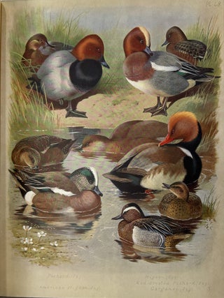 British Birds. With Eighty Plates in Colour, Showing Over Four Hundred Species. In Four Volumes.