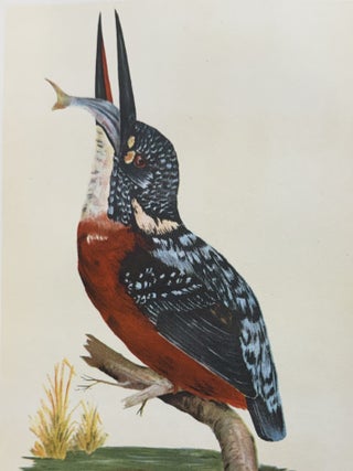 The Fauna of British India, Including Ceylon and Burma: Birds. In 8 Volumes.