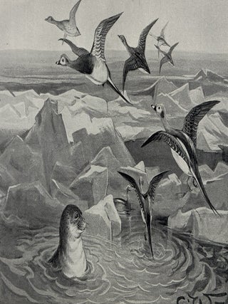 Ice-Bound on Kolguev: A Chapter in the Exploration of Arctic Europe to Which is Added a Record of the Natural History of the Island.