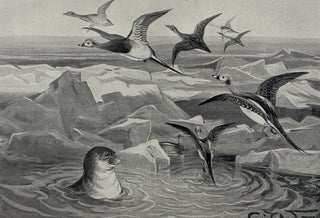 Ice-Bound on Kolguev: A Chapter in the Exploration of Arctic Europe to Which is Added a Record of the Natural History of the Island.