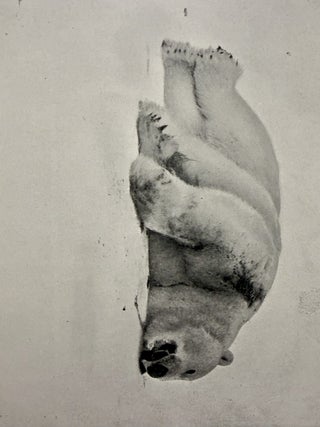 On the "Polar Star" in the Arctic Sea. In Two Volumes.