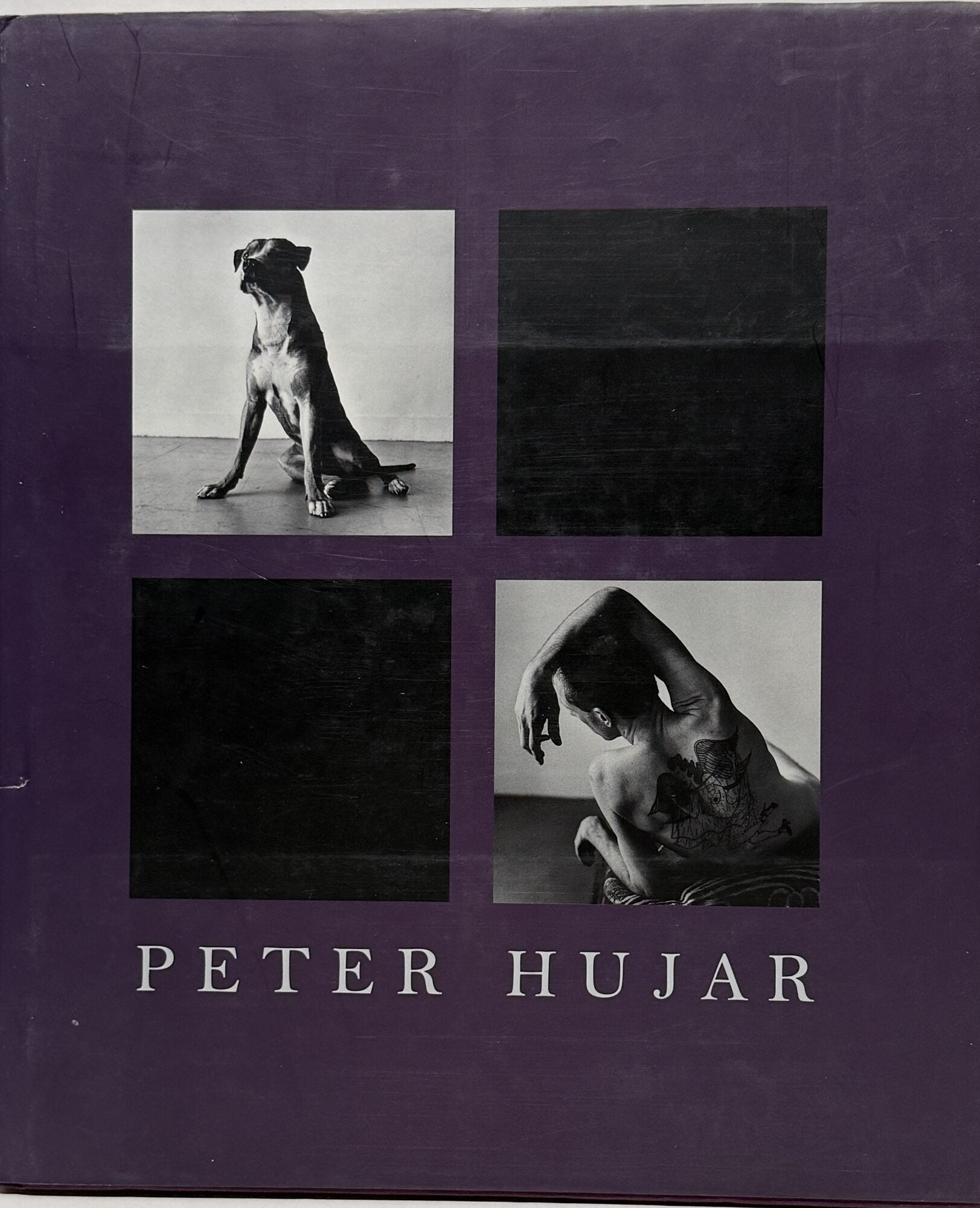 【Peter Hujar: Animals and Nudes】 Peter Hujar: Animals and Nudes | Peter Hujar, Klaus Kertess