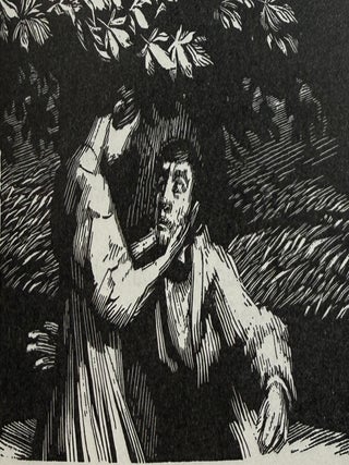 Charlotte Emily + Anne Bronte: The Complete Novels. Illustrated with Wood Engravings. 7 Volume Set.