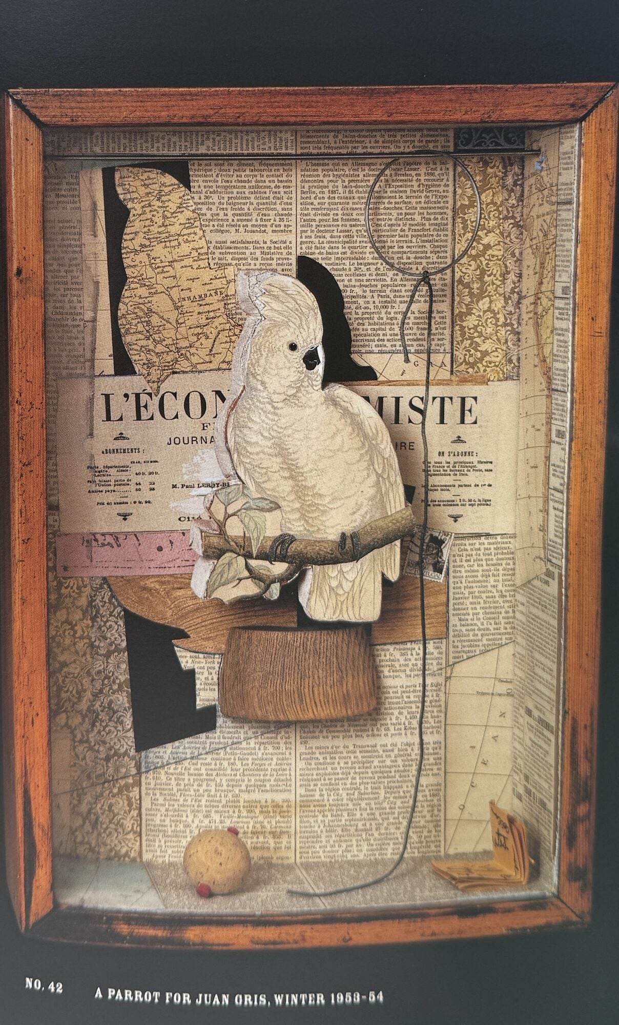 Joseph Cornell: Shadowplay Eterniday | Lynda Roscoe Hartigan