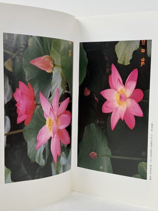 Introduction to Yan Xin Qigong.