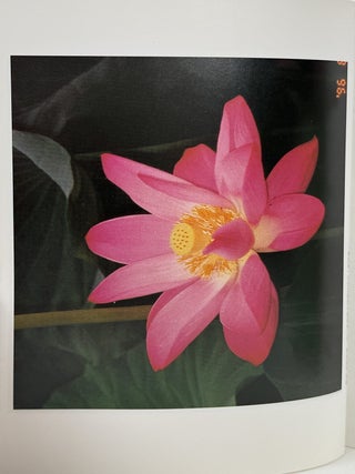 Introduction to Yan Xin Qigong.