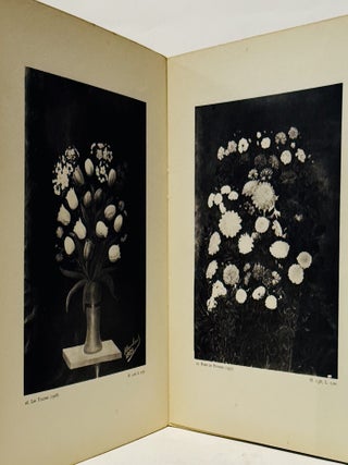 Andre Bauchant.