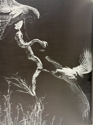 Historical Atlas of World Mythology Volumes I and II: The Way of the Animal Powers, and The Way of the Seeded Earth. Five Part Set.